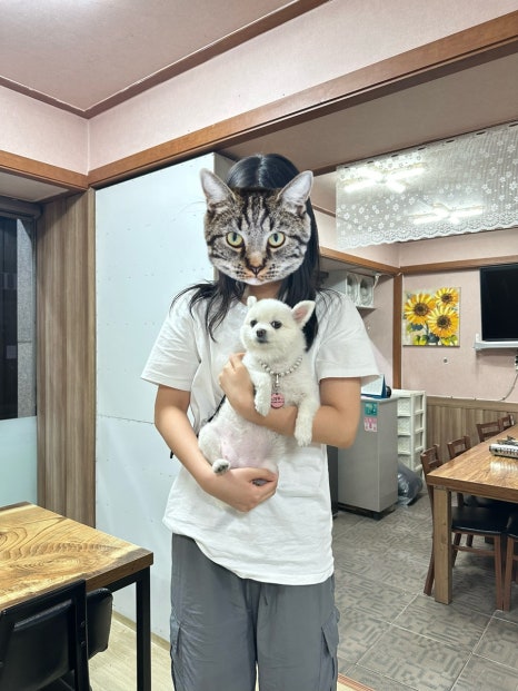 진 짜글이 마을 이미지