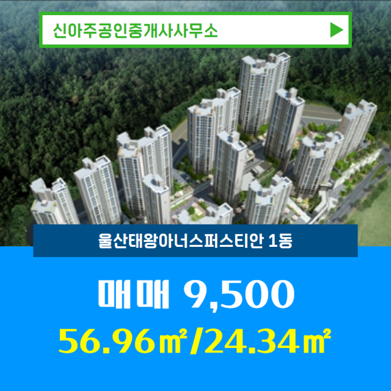 신아주 이미지