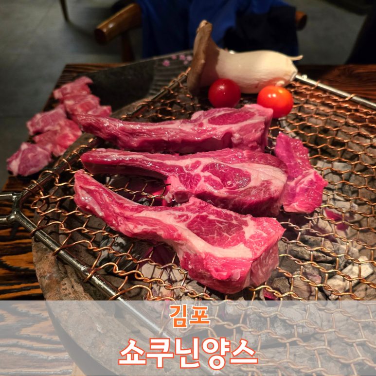 쇼쿠닌양스 이미지
