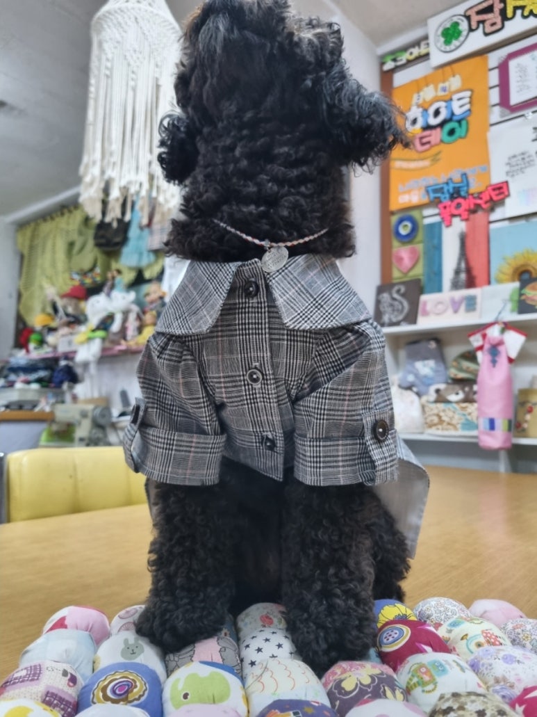 진도미싱 이미지