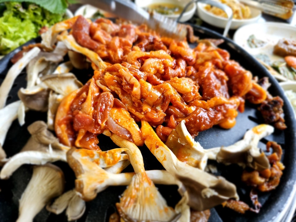 초원꽃카페 이미지