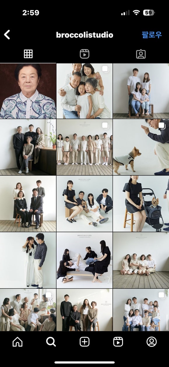 브로콜리스튜디오 이미지