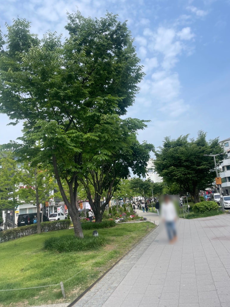 데어덴 이미지