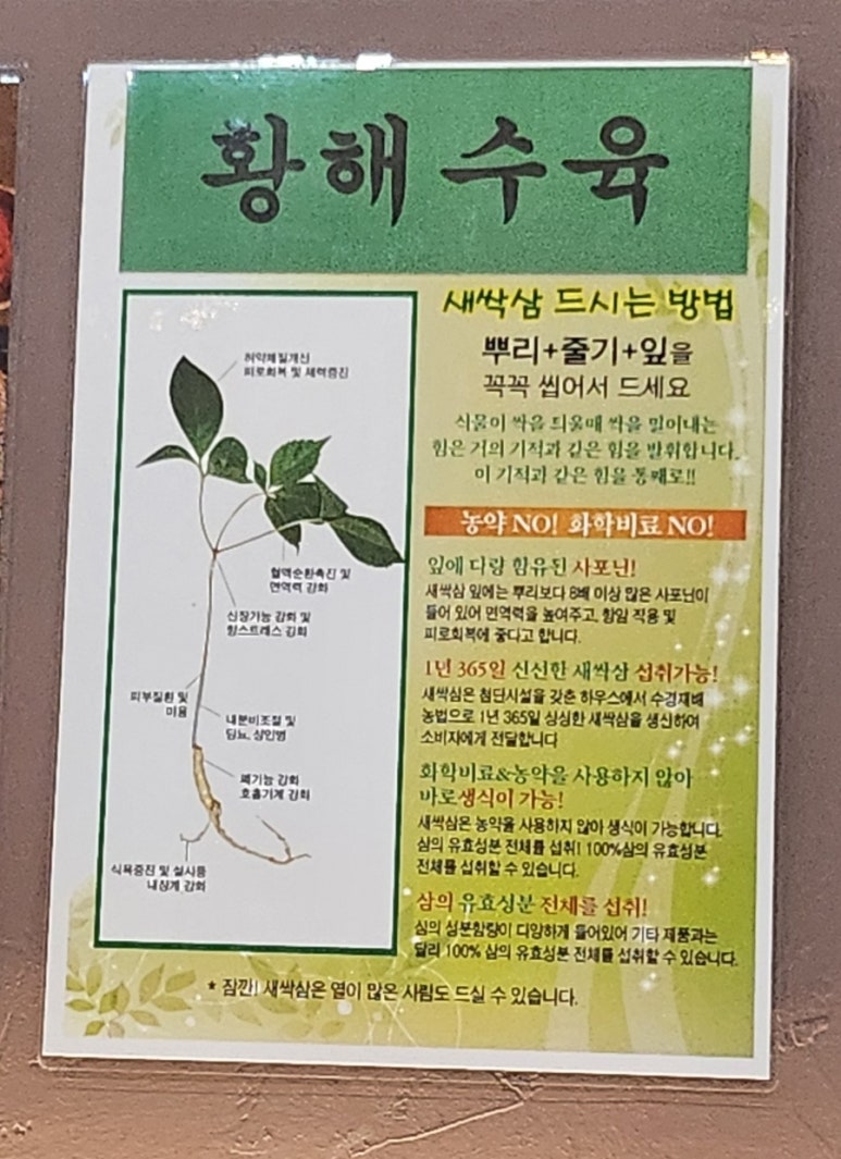 황해수육간석 이미지