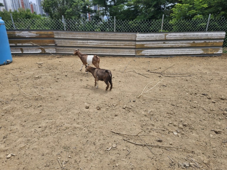 광개토환경 이미지