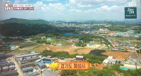 민초헤어 이미지