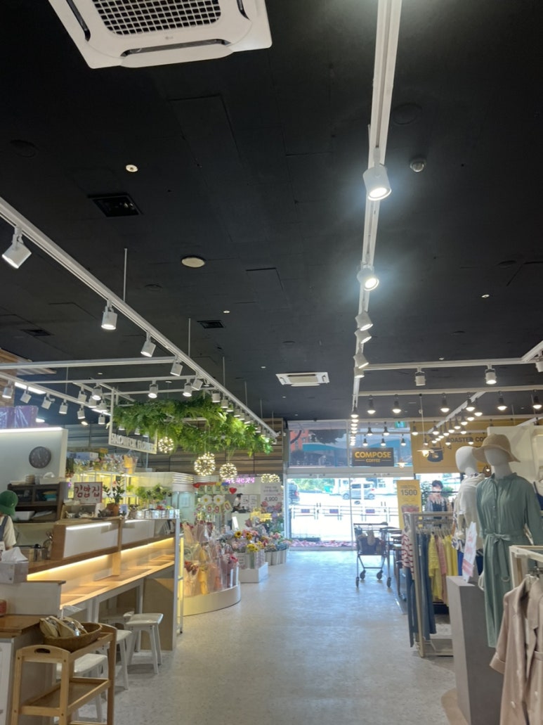 스노우폭스제주 이미지