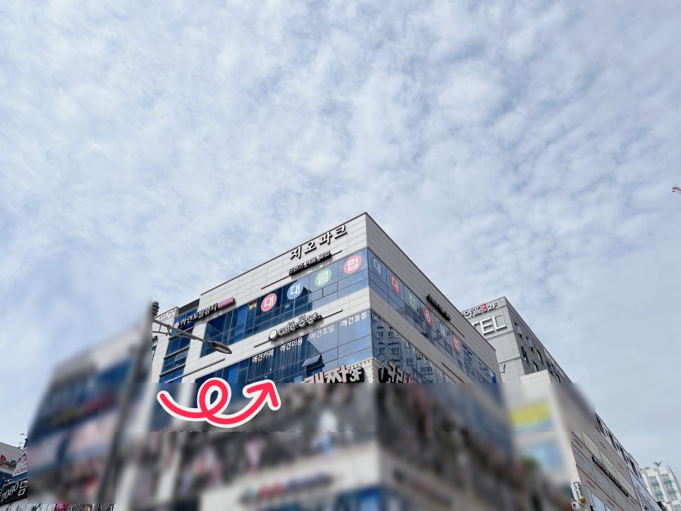 김포 애견카페 카페몽몽, 실내외 공간과 반려견 놀이터 — 사진 2