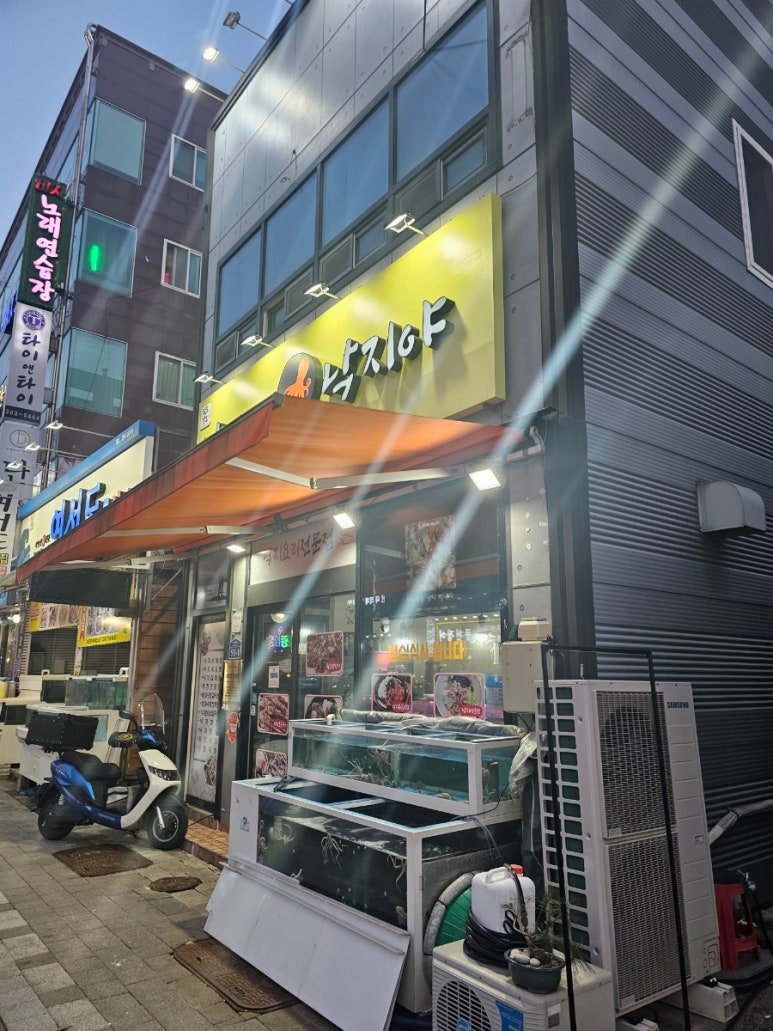 낙지야낙지야 이미지
