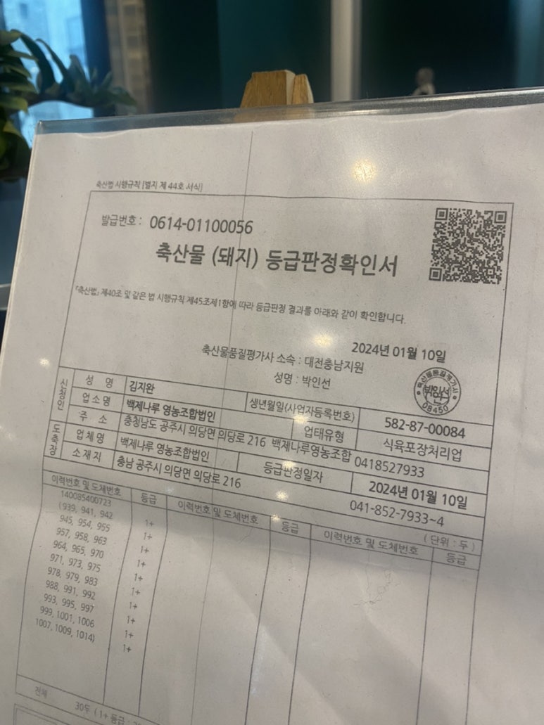 열두달꽃돼지 이미지