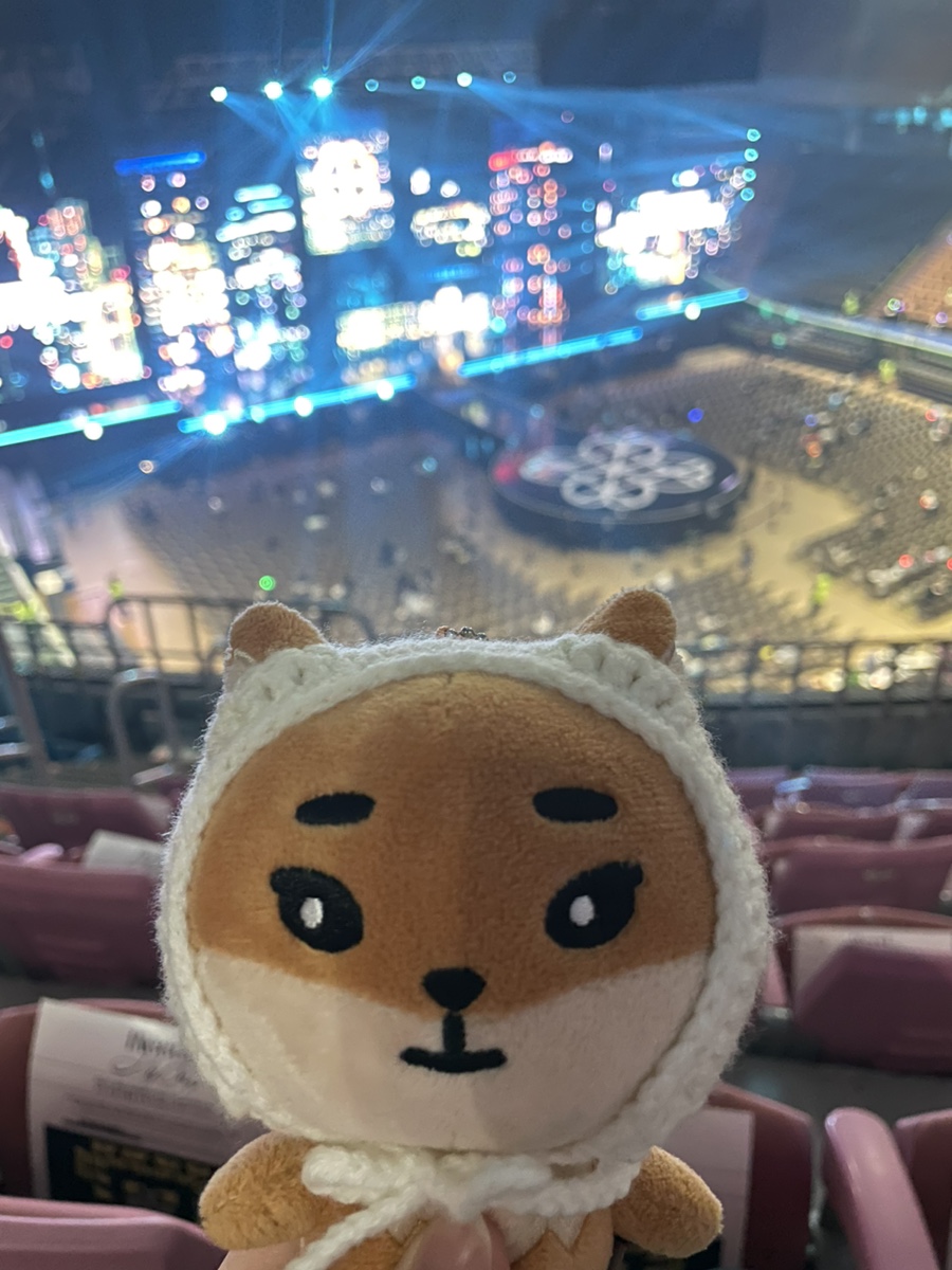 김&강 컴퍼니 이미지