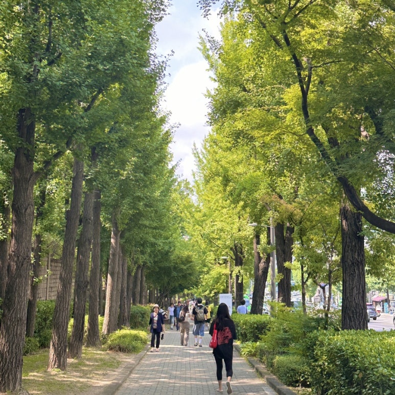 더부쓰 경리단점 이미지