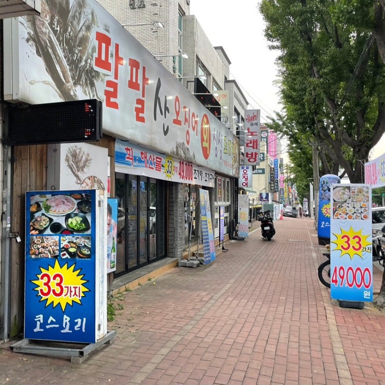 팔팔산오징어 이미지