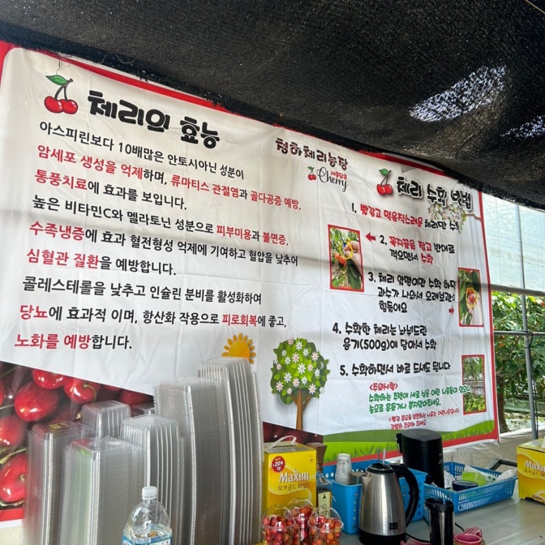 새콤달콤체리농장 이미지