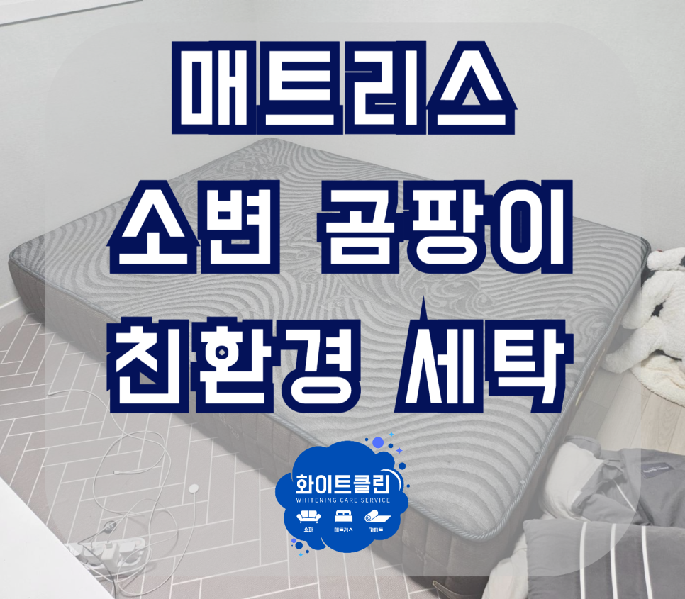 쇼파매트리스카페트청소화이트클린 이미지