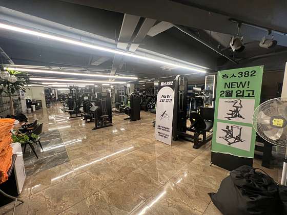 삼팔이 이미지