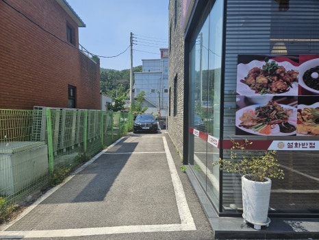 설화반점 이미지