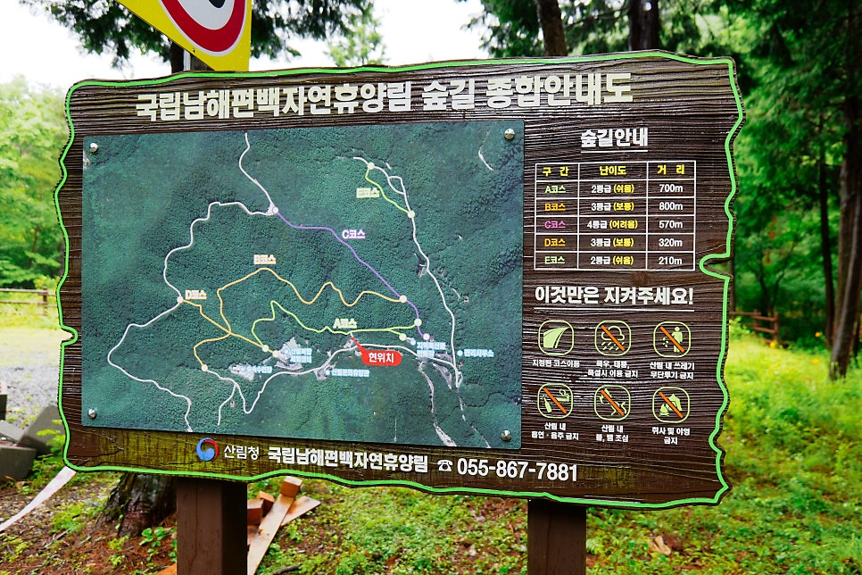 국립남해편백자연휴양림 이미지