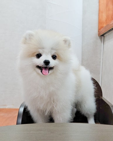가온파티룸 이미지