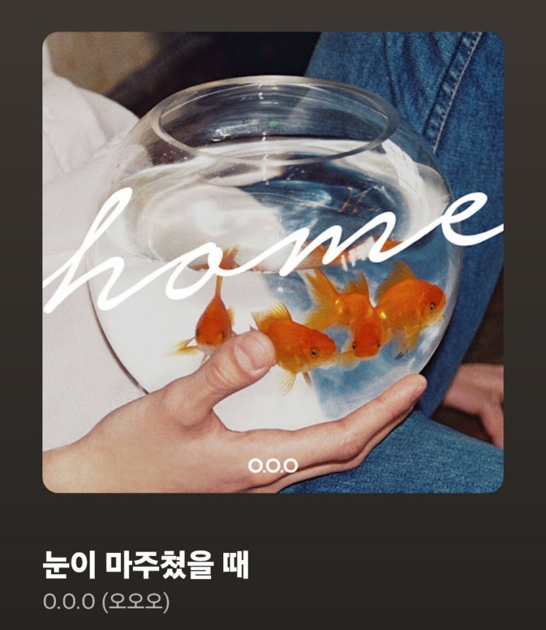 도토 이미지