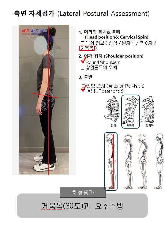 대한운동처방전문가협회 이미지