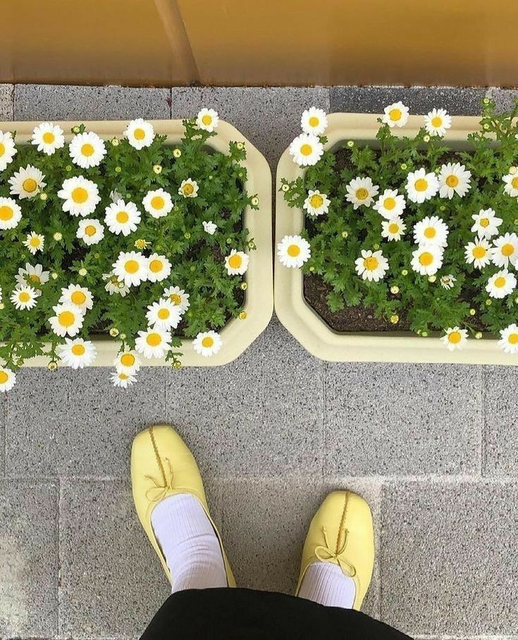 네일은미 이미지
