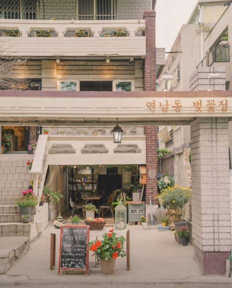 연남동벚꽃집 이미지