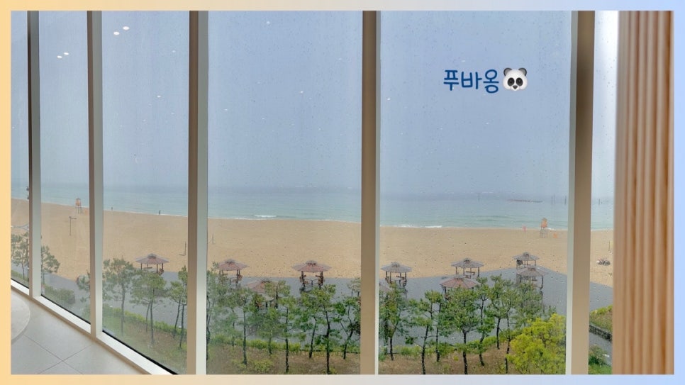트리고삼척해변점 이미지