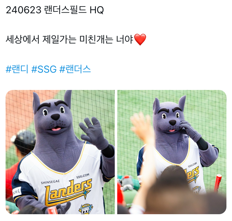 랜디하우스 이미지