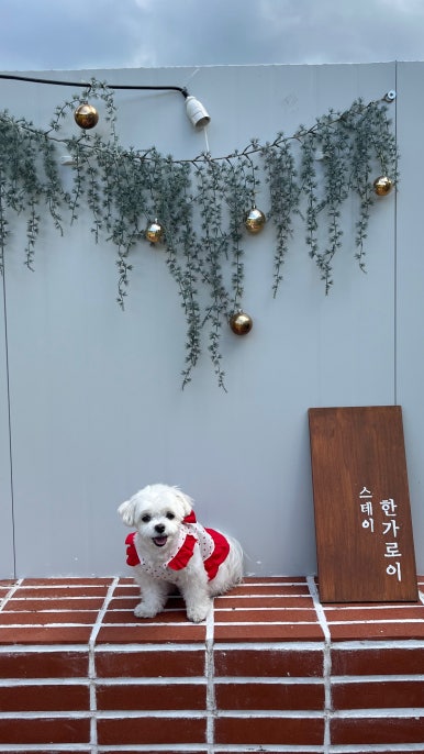 스테이한가로이 이미지