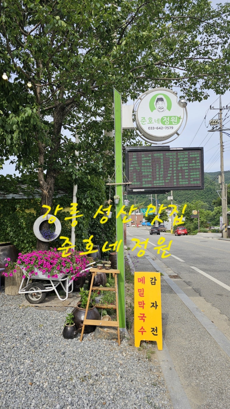 성산감자전 이미지