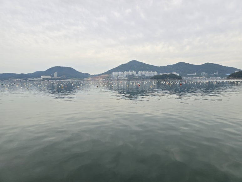 여수아그리나요트투어 이미지