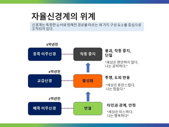 (주) 다미 이미지