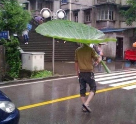 제이스타 이미지