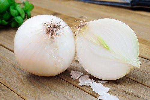 타르티 이미지