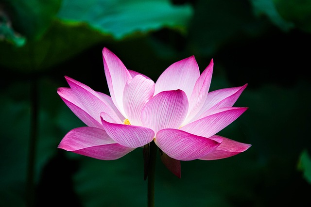 삼천리자전거월산점 이미지