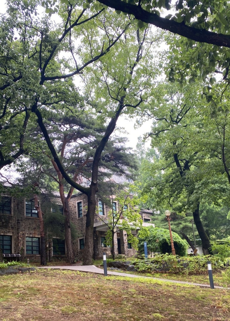 연세투어 이미지