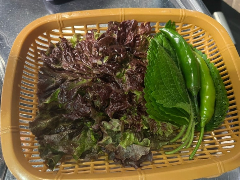 기영돈 이미지