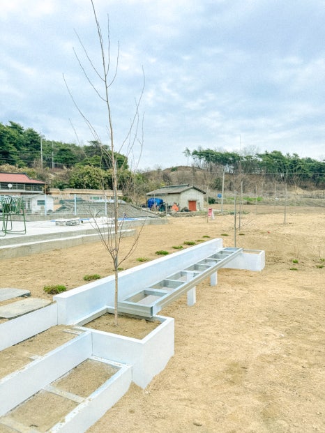 카페블룸 이미지