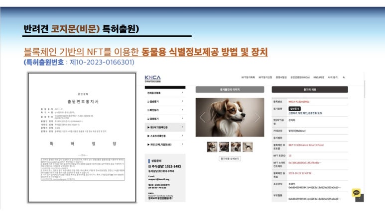 한국데이터공인인증원 이미지