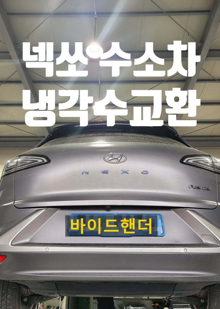 바이드핸더 이미지
