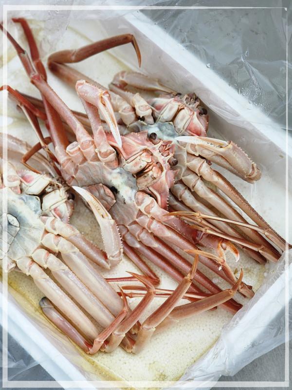 금성수산 이미지