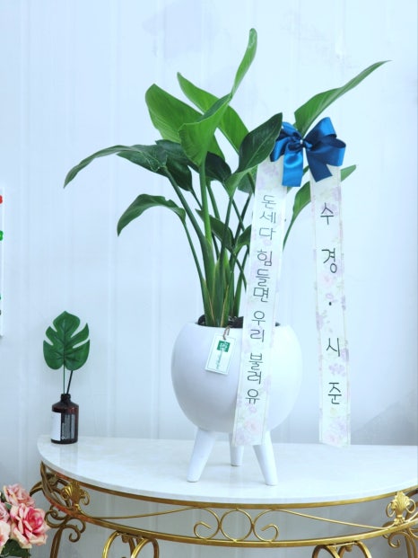 휠라키즈아산퍼스트빌리지 이미지