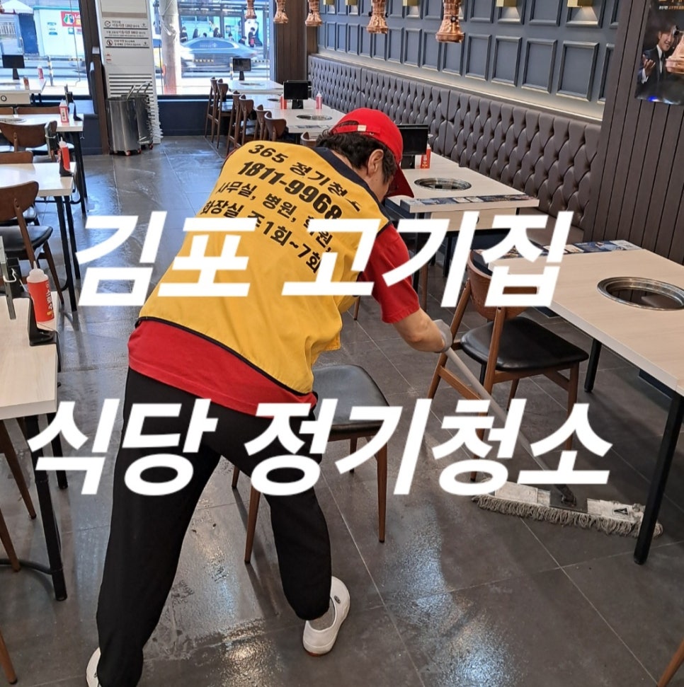 돌핀크린 이미지