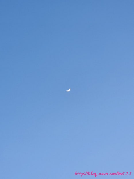풍년칼국수집 이미지