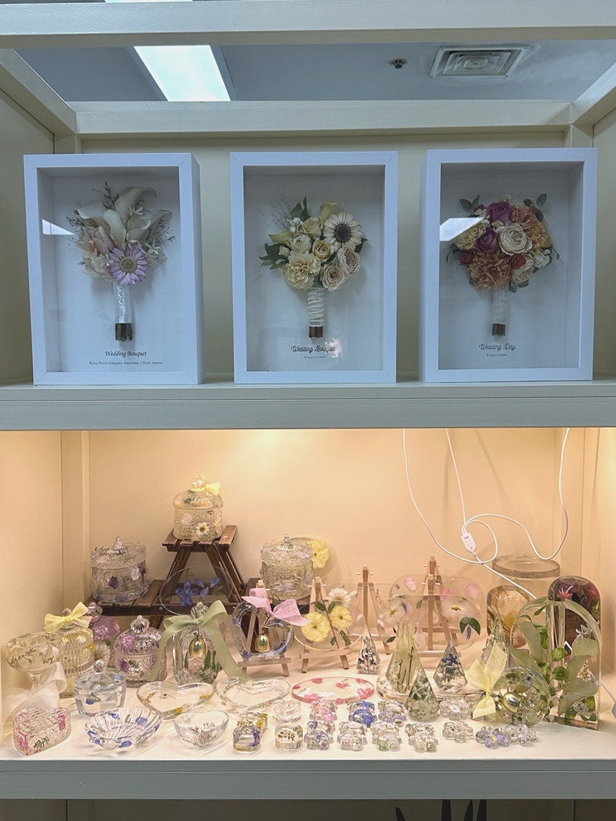 도도플레르 이미지