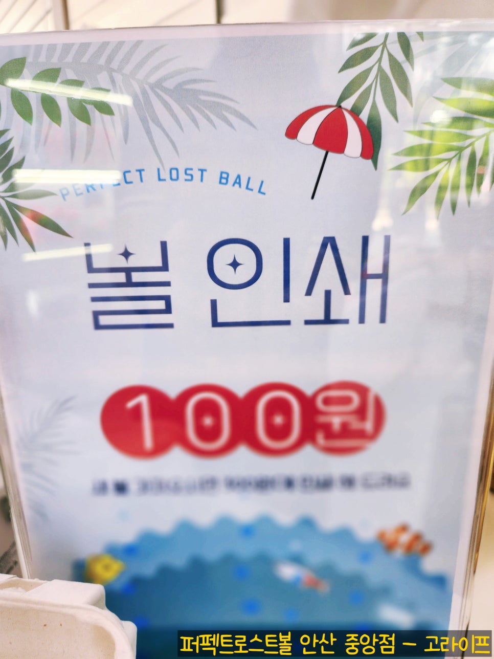 퍼펙트로스트볼안산 이미지