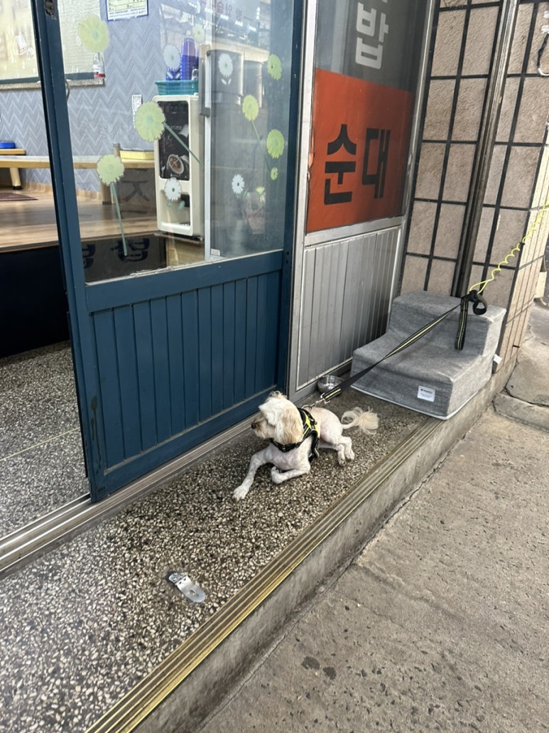 유진국밥 이미지