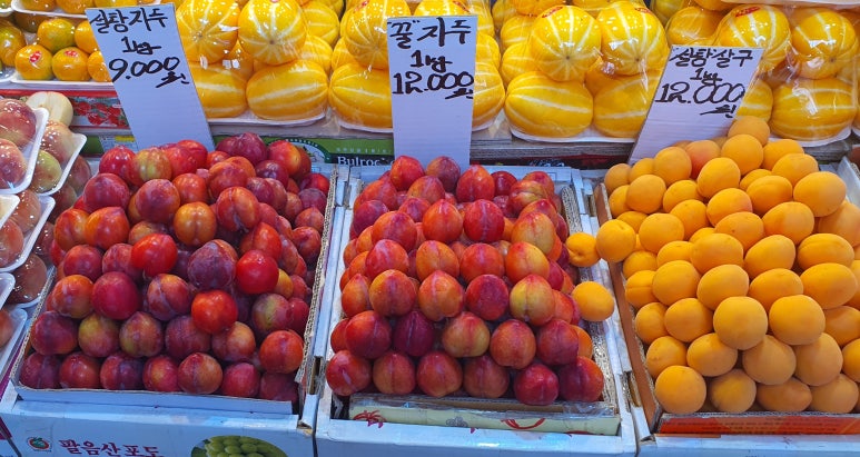 사거리청과 이미지