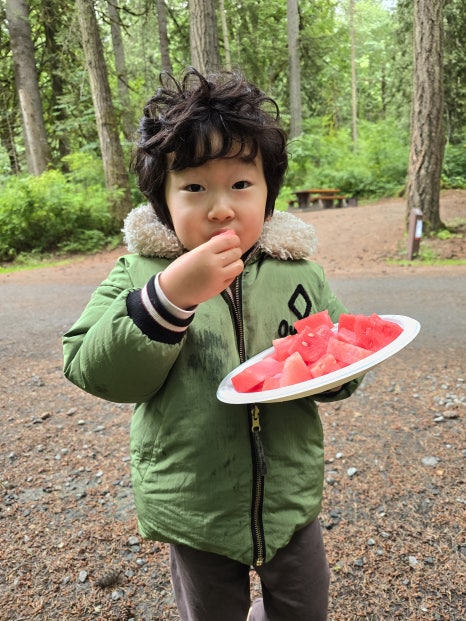 그로브(grove)캠핑 이미지